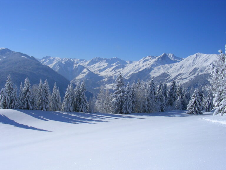 MONTAGNETTES DE LA VALLEE DE MERIBEL